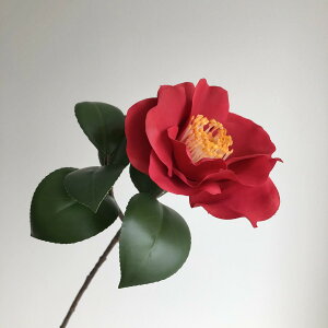 yԁzAXJ/ bh/A-73399-2y01z ԁiA[eBtBVt[j  ԍށusv coLiցj