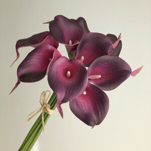 yԁzAXJ/J[Bo`i19{j C/A-34592-15Ay01z ԁiA[eBtBVt[j  ԍށusv J[