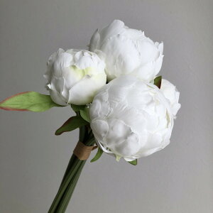 yԁzAXJ/sIj[u[P zCg/A-34599-1y01z ԁiA[eBtBVt[j  ԍށusv VNNi䉖jE{^iOjEsIj[