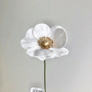 yԁzAXJ/xxbgAllsbN #001 zCg/A-73427-1y01z ԁiA[eBtBVt[j  ԍށusv All