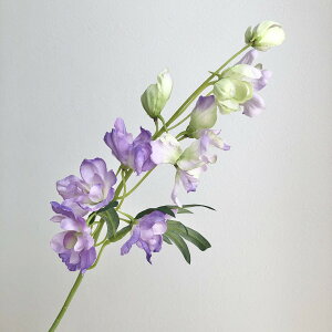 yԁzAXJ/ftBjE p[v/A-34803-7y01z ԁiA[eBtBVt[j  ԍށusv ftBj[