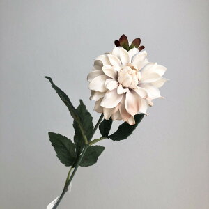 yԁzAXJ/_A×1 ڂ×1 OCx[W/A-34957-63Ey01z ԁiA[eBtBVt[j  ԍށusv _A