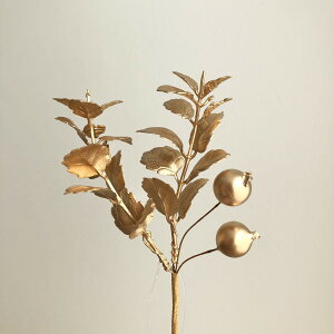 yԁzAXJ/^bN~bNXsbN /AX60694y01z ԁiA[eBtBVt[j  ԍށu͍sv |CZ`A