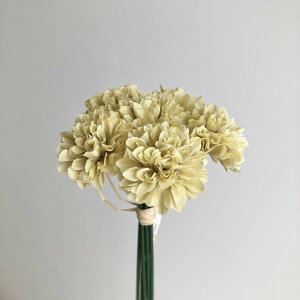 yԁzAXJ/||}o`(16{) CG[O[/A-34941-10Gy01z ԁiA[eBtBVt[j  ԍށusv LNiejEs|}