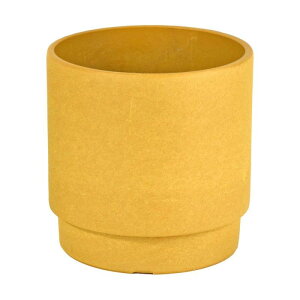 LEAD STYLE/�X�^�b�N�x�[�X10 �C�G���[�S�[���h/LSP-52054�y01�z �Ԋ�A���[�X �Ԋ�E�ԕr �v���X�`�b�N�E�A�N�����Ԋ�