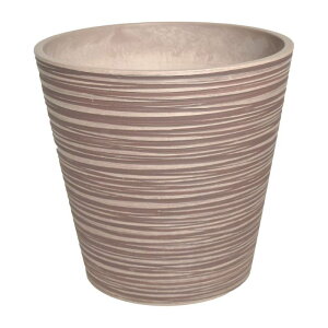 Jo[  LEAD STYLE/GRth[|bg31 g[v/EGPL3129 TPy01z K[fjOE|pi t[|bg Jo[