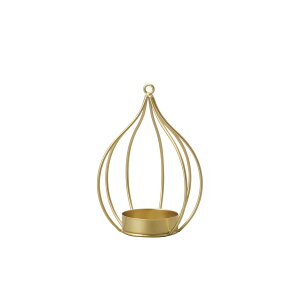 NC/air coffret8L7W11H GOLD/550-201-902y01z ԊA[X ԊEԕr uLEACA