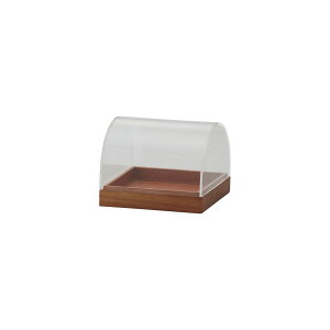 NC/Dolce9D57H CARAMEL/818-001-312y01z ԊA[X ԊEԕr h[AKXh[