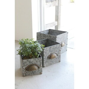 Aؔ  RxgK[f/fEACAP[X 3_Zbg/BZ-17y07z K[fjOE|pi t[|bg ACAEuL