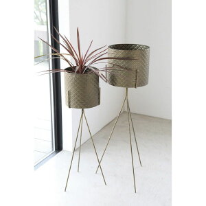 Jo[  RxgK[f/XPEACA|bgX^hJo[2_Zbg/KW-69y07z K[fjOE|pi t[|bg Jo[