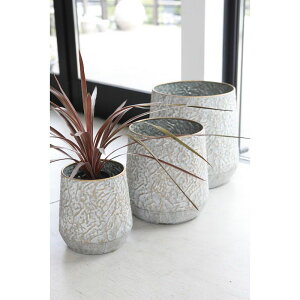 Jo[  RxgK[f/[cEACA|bgJo[ 3_Zbg/KW-71y07z K[fjOE|pi t[|bg Jo[