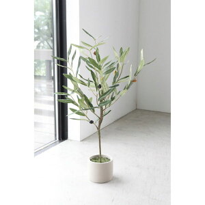 �R�x���g�K�[�f��/�I���[�u�N���g��/LG-09�y07�z ���ԁi�A�[�e�B�t�B�V�����t�����[�j ���ԗt�� ���ԁE�l�H�ϗt�A�� �����`100cm