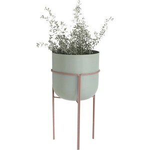 Aؔ  RxgK[f/neulo AgXEX^h|bg/NA-22y07z K[fjOE|pi t[|bg ACAEuL