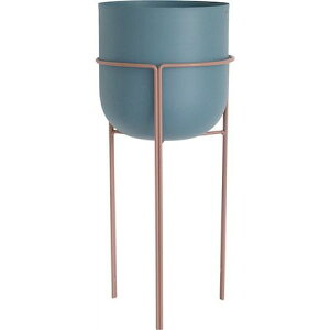 Aؔ  RxgK[f/neulo Apb`EX^h|bg/NA-23y07z K[fjOE|pi t[|bg ACAEuL