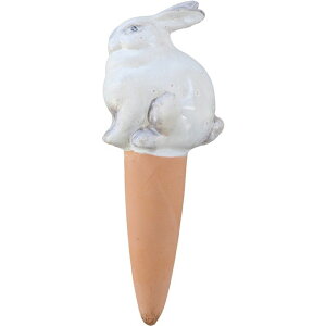 RxgK[f/neulo rbgR[EEH[^[O[u/NH-85y07z K[fjOE|pi K[fjOG݁EI[ig K[fsbN