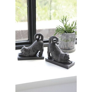 RxgK[f/LbcEubNGh/NY-58y07z X܃fBXvCEX G [