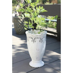 Aؔ  RxgK[f/NiXEO|bg/QY-99y07z K[fjOE|pi t[|bg EZ~bN