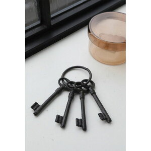 �R�x���g�K�[�f��/�L���X�g�E�L�[�����O/RF-04�y07�z �X�܃f�B�X�v���C�E�X������ �u���E�I�u�W�F �A�C�A���I�u�W�F