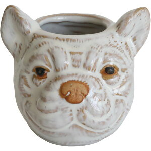 Aؔ  RxgK[f/neulo Aj}JbvEIJ/UL-02y07z K[fjOE|pi t[|bg EZ~bN