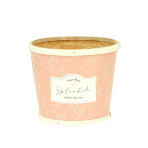 勴VX/\tBA D5/64-185y01z ԊA[X ԊEԕr ؐԊ