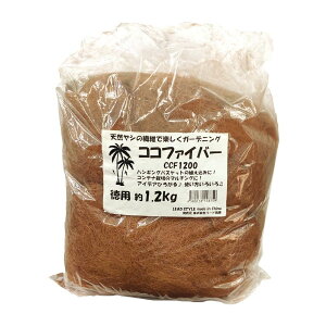 LEAD STYLE/RRt@Co[1200g/CCF1200y01z[3] K[fjOE|pi |py }`O