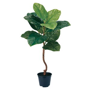 ylHϗtAzMAGIQ/S̖؃~j|bg O[ GREEN/FG001815y01z ԁiA[eBtBVt[j ԗt ԁElHϗtA `50cm