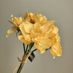 yԁzAXJ/_Aohi16{j CgIW/A-34239-30By01z ԁiA[eBtBVt[j  ԍށusv _A