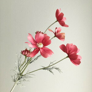 yԁzAXJ/RXX×6 Cgr[eB/A-34454-22By01z ԁiA[eBtBVt[j  ԍށusv RXX