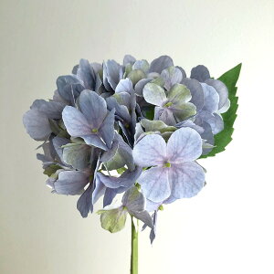 yԁzAXJ/nChWA x_[/A-34546-6y01z ԁiA[eBtBVt[j  ԍށusv izԁj