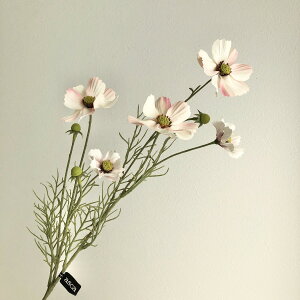 yԁzAXJ/RXX×5 ڂ×3 #003C N[sN/A-34634-3Cy01z ԁiA[eBtBVt[j  ԍށusv RXX