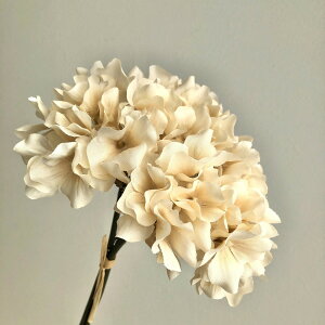 yԁzAXJ/nChWAo`(13{) \tgx[W/A-34728-8Ay01z ԁiA[eBtBVt[j  ԍށusv izԁj