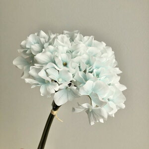 yԁzAXJ/nChWAo`(13{) u[zCg/A-34728-9Wy01z ԁiA[eBtBVt[j  ԍށusv izԁj