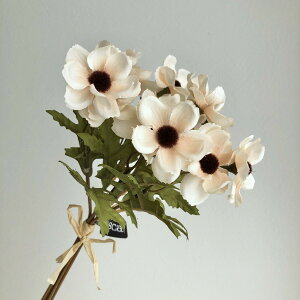 yԁzAXJ/Allo`(15{) \tgx[W/A-34730-8Ay01z ԁiA[eBtBVt[j  ԍށusv All