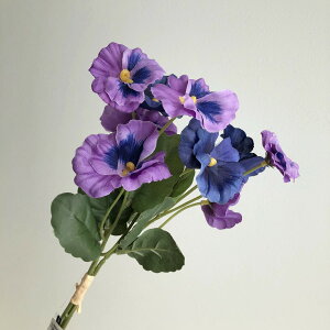 yԁzAXJ/pW[o`×9(13{) u[p[v/A-34799-9Py01z ԁiA[eBtBVt[j  ԍށu͍sv pW[