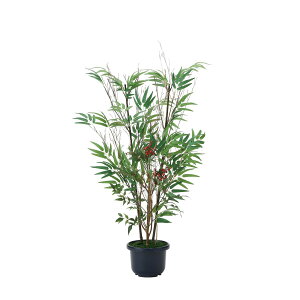 yz ylHϗtAz̊y/G} |V1.0(FVR|)/2011A150 ԕiEELZsy10z ԁiA[eBtBVt[j ԗt ԁElHϗtA 