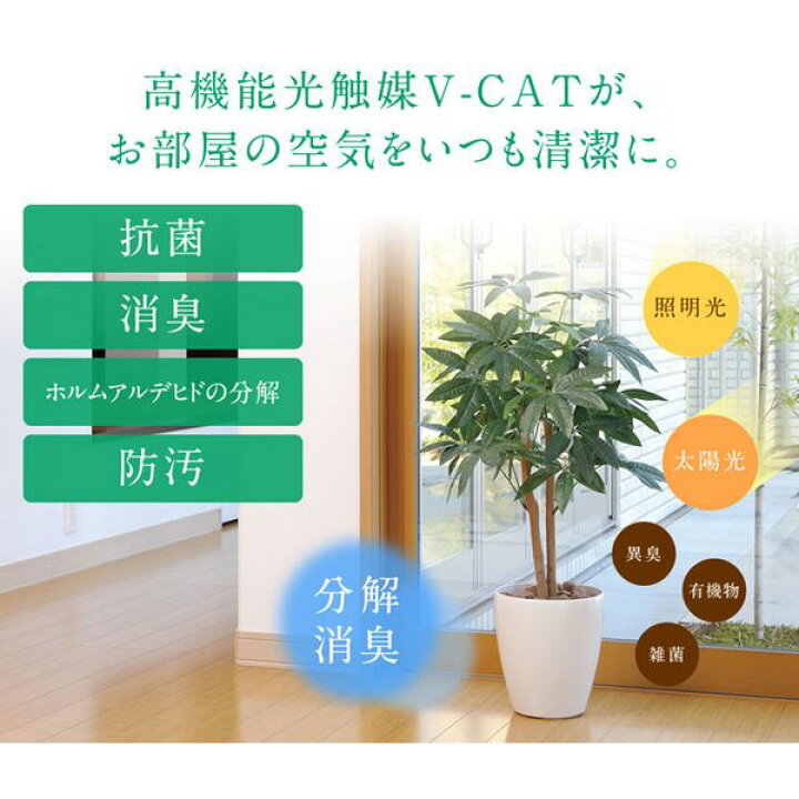楽天市場】【直送】 【人工観葉植物】光の楽園/光触媒 デザイン 