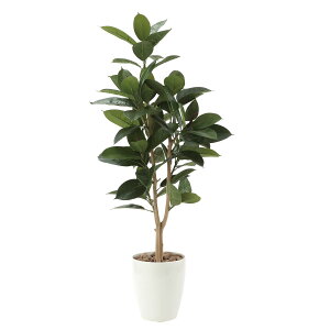 yz ylHϗtAz̊y/G} S̖1.25/710P250 ԕiEELZsy10z ԁiA[eBtBVt[j ԗt ԁElHϗtA `150cm