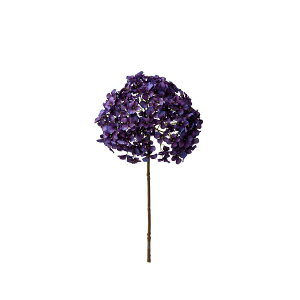 yԁzp/nChWAXv[ p[vu[/P-8708-81y07z ԁiA[eBtBVt[j  ԍށusv izԁj