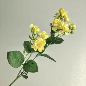 �y���ԁz�A�X�J/�W���X�~��×9�@�ڂ�×19�@�C�G���|/A-32830-010�y01�z ���ԁi�A�[�e�B�t�B�V�����t�����[�j �W���X�~�� �t�F�C�N�t�����[ �V���N�t�����[ �C���e���A �ԍ� ���� �f�B�X�v���C 