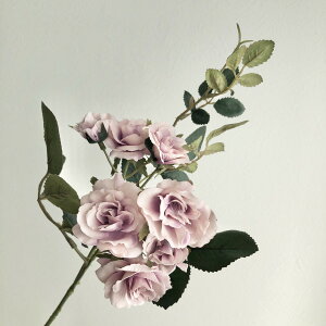 yԁzAXJ/[Y×5 ڂ×2 _XeCx_|/A-39578-006Ay01z ԁiA[eBtBVt[j  ԍށu͍sv o