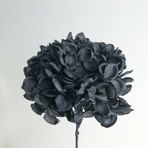 yԁzAXJ/nChWAsbN@ubN/A-39636-100y01z ԁiA[eBtBVt[j  ԍށusv izԁj