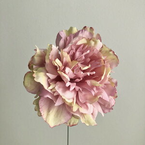 yԁzAXJ/sIj[sbN [YN[/A-33065-005C 䉖EOy01z ԁiA[eBtBVt[j  ԍށusv VNNi䉖jE{^iOjEsIj[