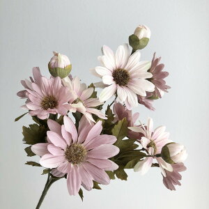 yԁzAXJ/f[W[ubV #055C N[[u/A-33785-55Cy01z ԁiA[eBtBVt[j  ԍށusv f[W[