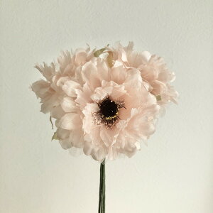 yԁzAXJ/Allo`(13{) #005A AeB[N[Y/A-33847-5Ay01z ԁiA[eBtBVt[j  ԍށusv All