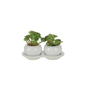 yz ylHϗtAz̊y/G} _u|bgB(|)/2110A25 ԕiEELZsy10z ԁiA[eBtBVt[j ԗt ԁElHϗtA 