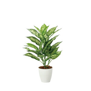 yz ylHϗtAz̊y/G} fBtFoLAM/2352A65 ԕiEELZsy10z ԁiA[eBtBVt[j ԗt ԁElHϗtA `100cm