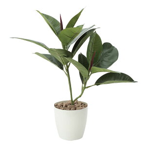 yz ylHϗtAz̊y/G} S̖/637G50 ԕiEELZsy10z ԁiA[eBtBVt[j ԗt ԁElHϗtA `50cm