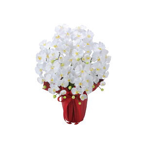 yz yԁz̊y/G} GKgӒ7{W/2445A100 ԕiEELZsy10z ԁiA[eBtBVt[j ԃMtg Ӓij