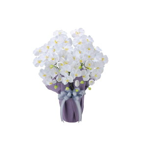   yz yԁz̊y/G} Ӓ 5{W/2464A80 ԕiEELZsy10z dp p  tďH~