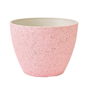 Aؔ  N|bg V[Y19 #2 V[YsN/GS006408-002y01z K[fjOE|pi t[|bg vX`bN